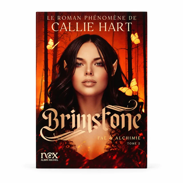 Couverture de Brimstone