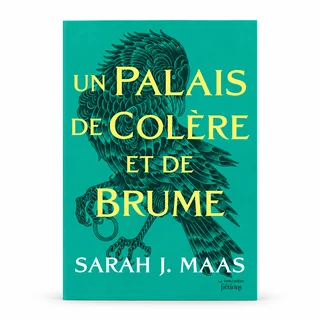 Couverture de Un palais de colère et de brume
