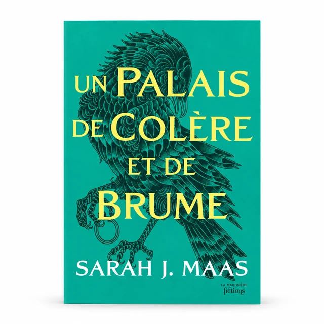 Couverture de Un palais de colère et de brume